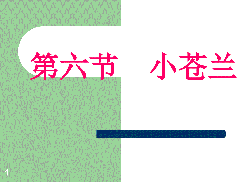 花卉栽培技术球根花卉小苍兰_第1页