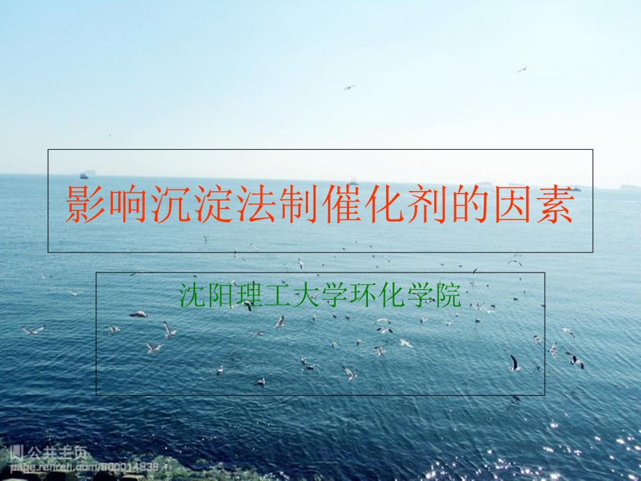 影响沉淀法制备催化剂的因素_第1页