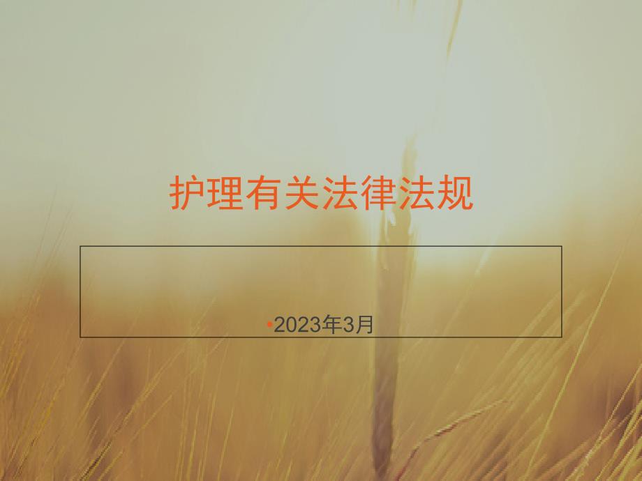 护理相关法律法规_第1页