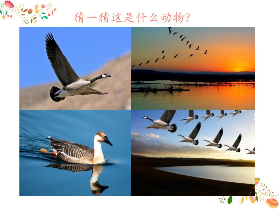 四年级音乐上册《大雁湖》人音版课件_第1页