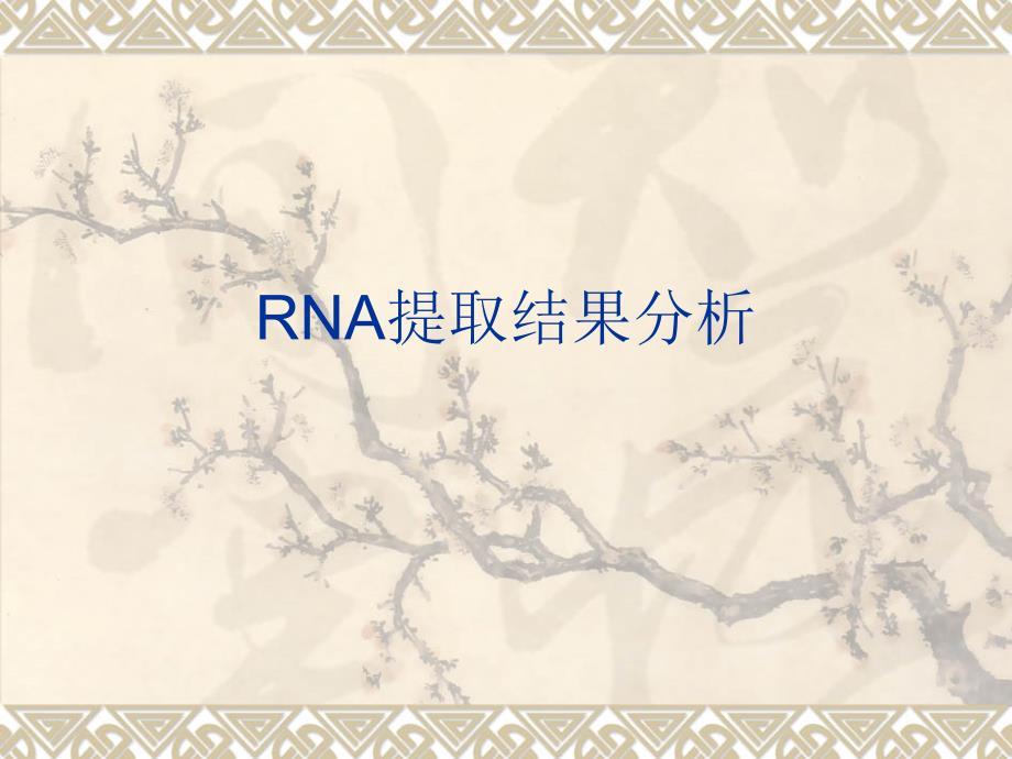 RNA提取结果分析_第1页