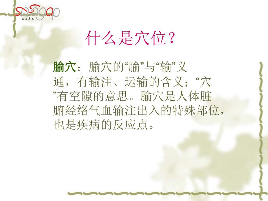 穴位专业知识_第1页