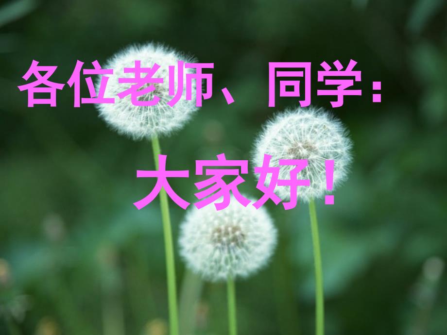 各位老师同学大家_第1页