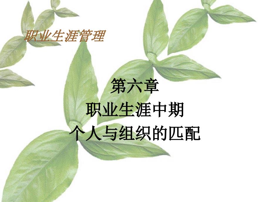 职业生涯中期个人与组织的匹配_第1页
