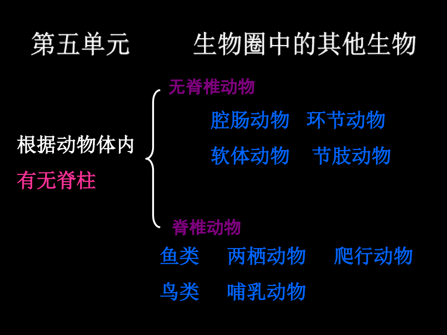 初二上册生物复习总提纲_第1页