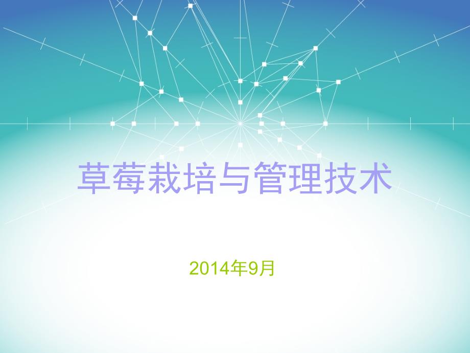 草莓种植培训资料.ppt_第1页