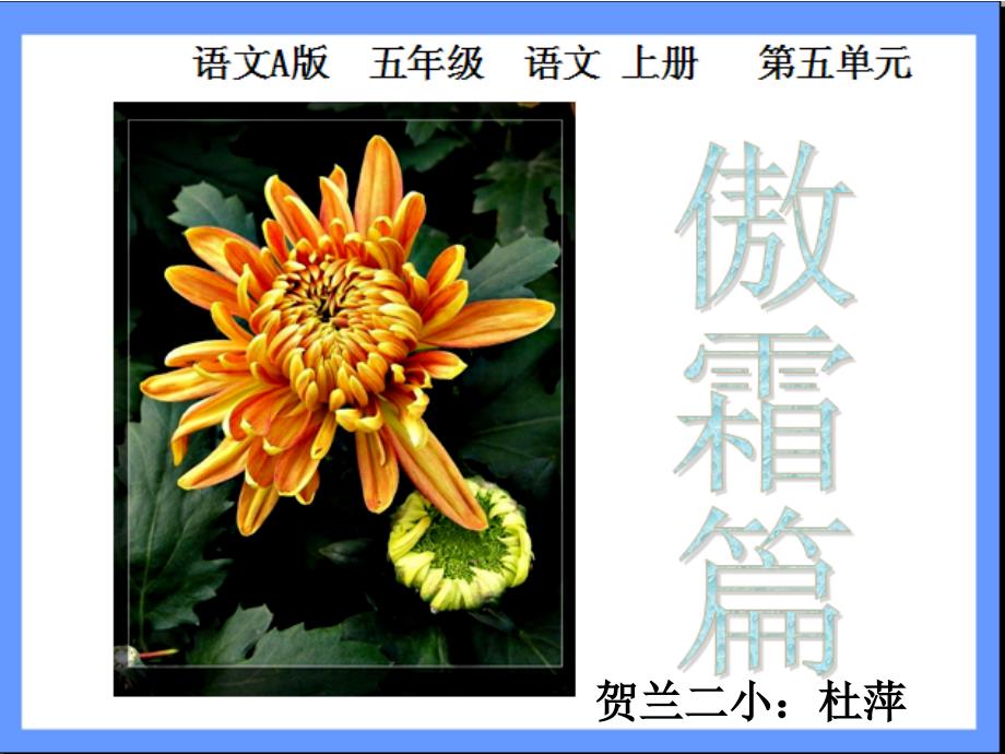 （杜萍）傲霜篇课件_第1页