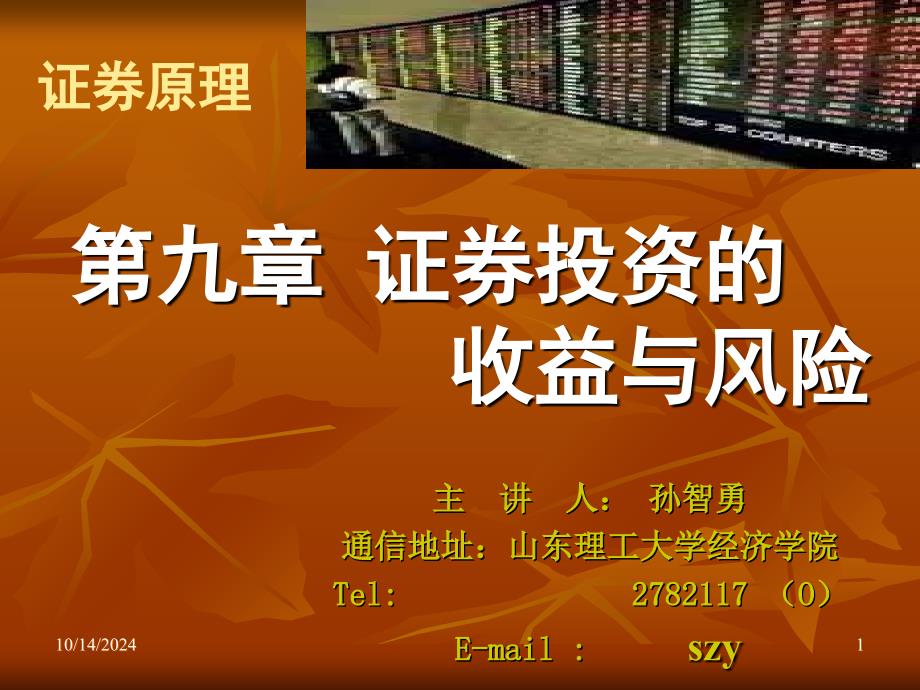 证券投资的收益与风险_第1页
