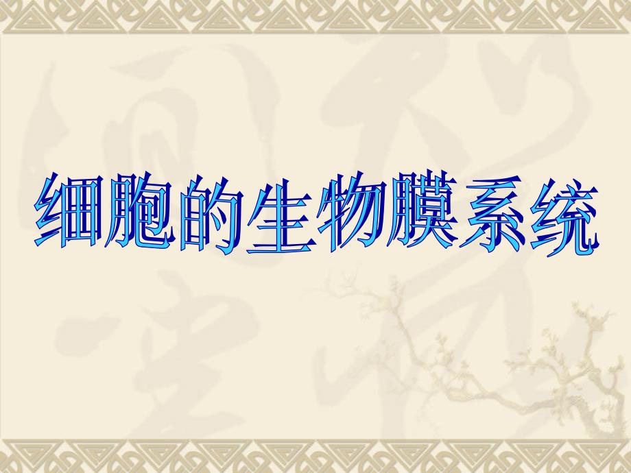 高中生物细胞的生物膜系统复习_第1页