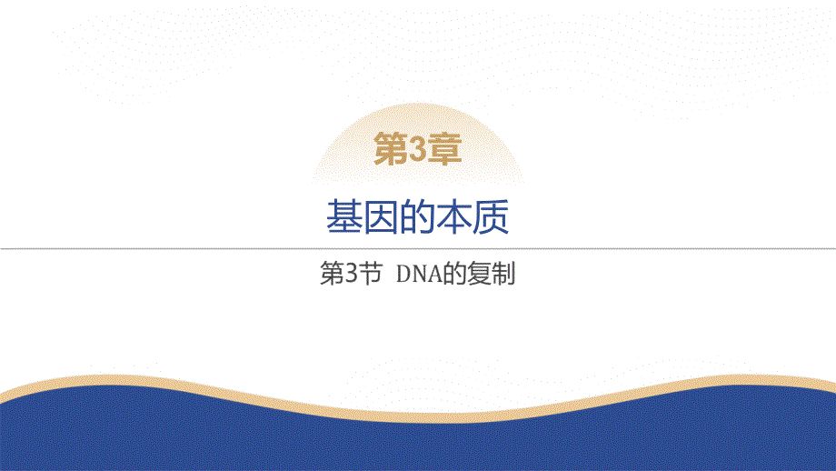 生物DNA的复制课件-2024-2025学年高一下学期生物人教版必修2_第1页
