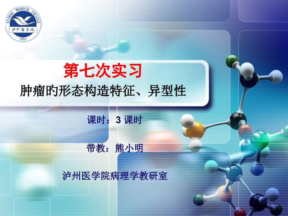 实习肿瘤的形态结构异型性专家讲座_第1页