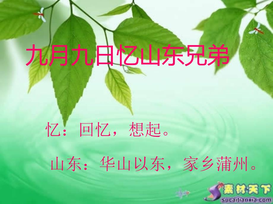 九月九日忆山东兄弟_第1页