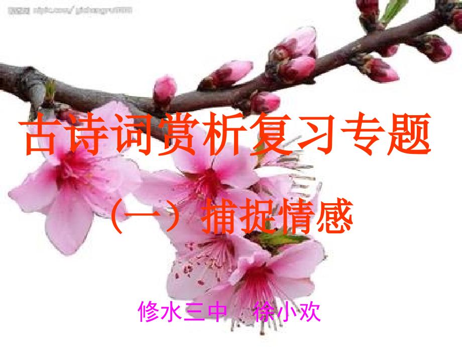 中考古诗词赏析复1_第1页