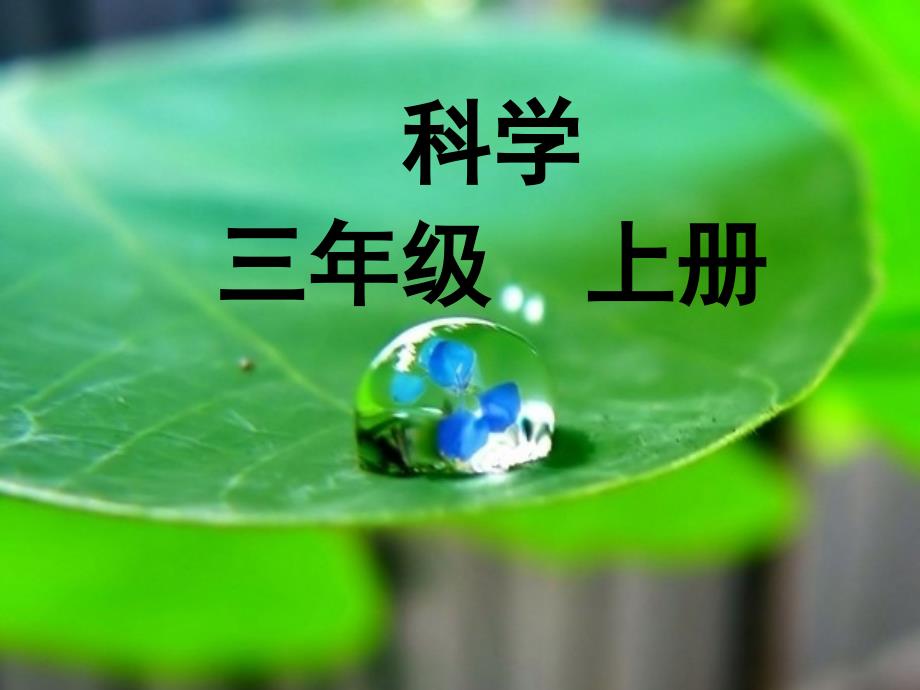 3上-1-1我看到了什么_第1页