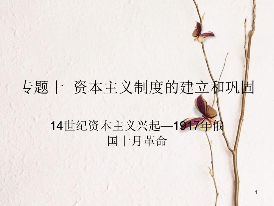 山东省泰安市岱岳区马庄镇中考历史复习 专题十 资本主义制度的建立和巩固课件_第1页