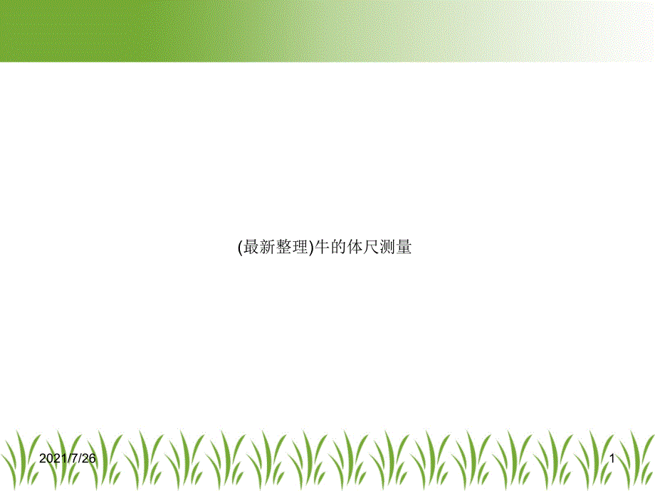 牛的体尺测量课件_第1页