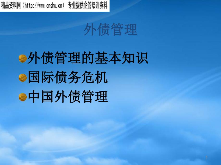 我国外债管理的基本知识_第1页