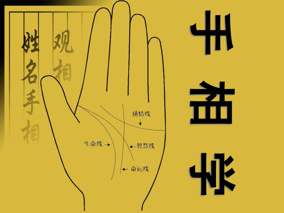 如何看手相课件_第1页