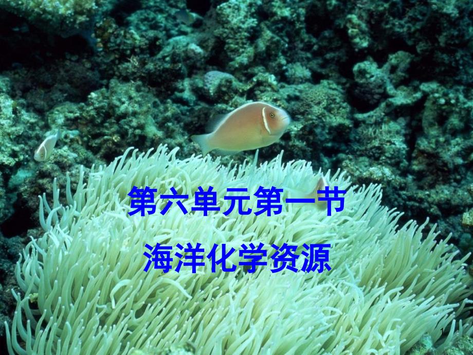 初中化学《海洋化学资源》课件_第1页