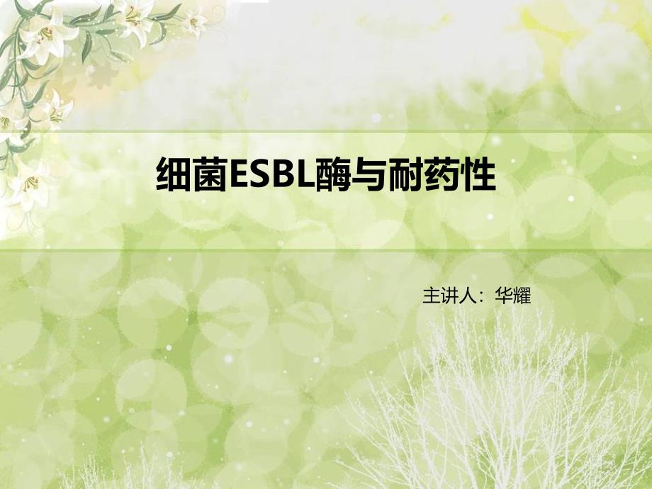 细菌超广谱β内酰胺酶与耐药性课件_第1页