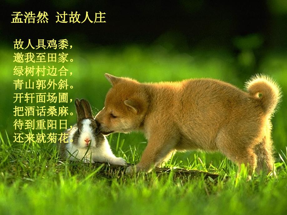 古诗词鉴赏-人生态度之闲适自得课件_第1页