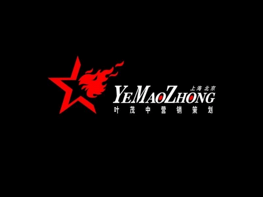 叶茂中策划之金六福品牌诊断规划报告_第1页