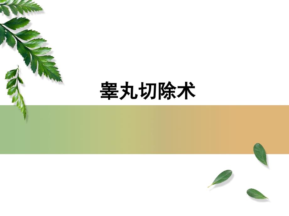 睾丸切除术医学知识_第1页