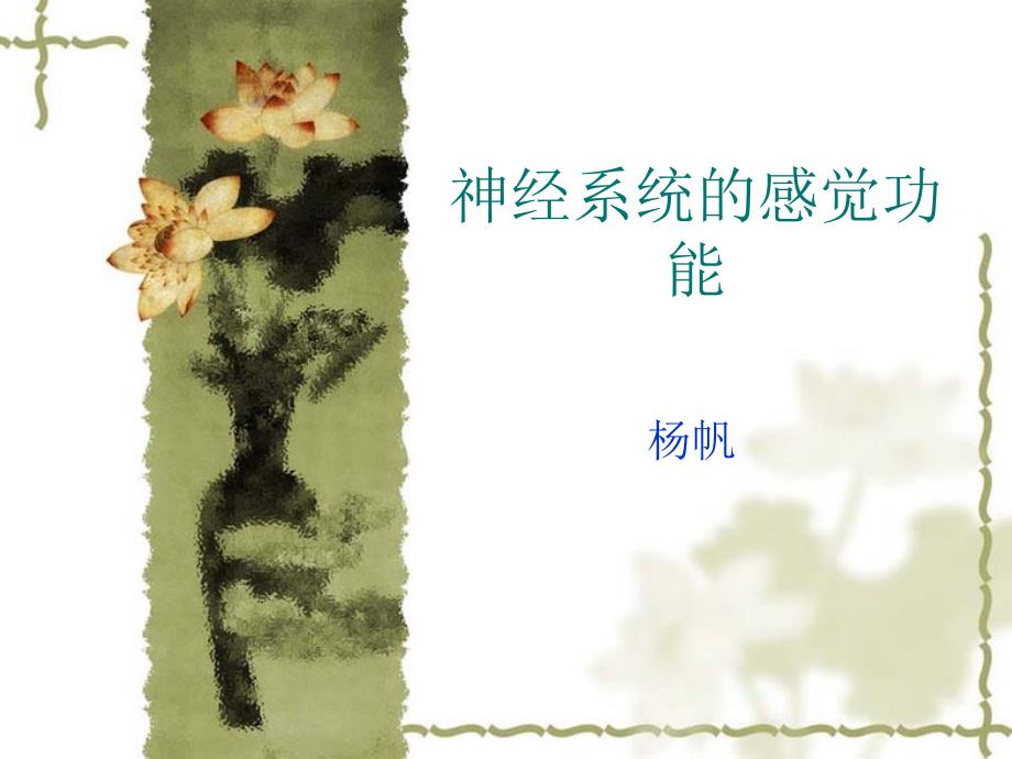 神经系统的感觉功课件_第1页