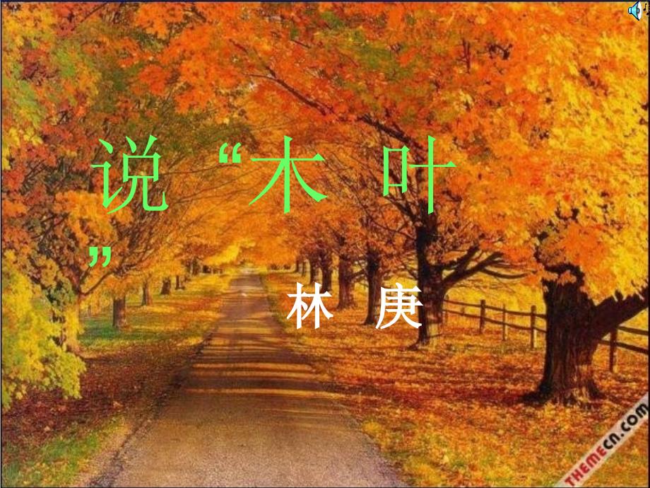《说木叶林庚》PPT课件_第1页