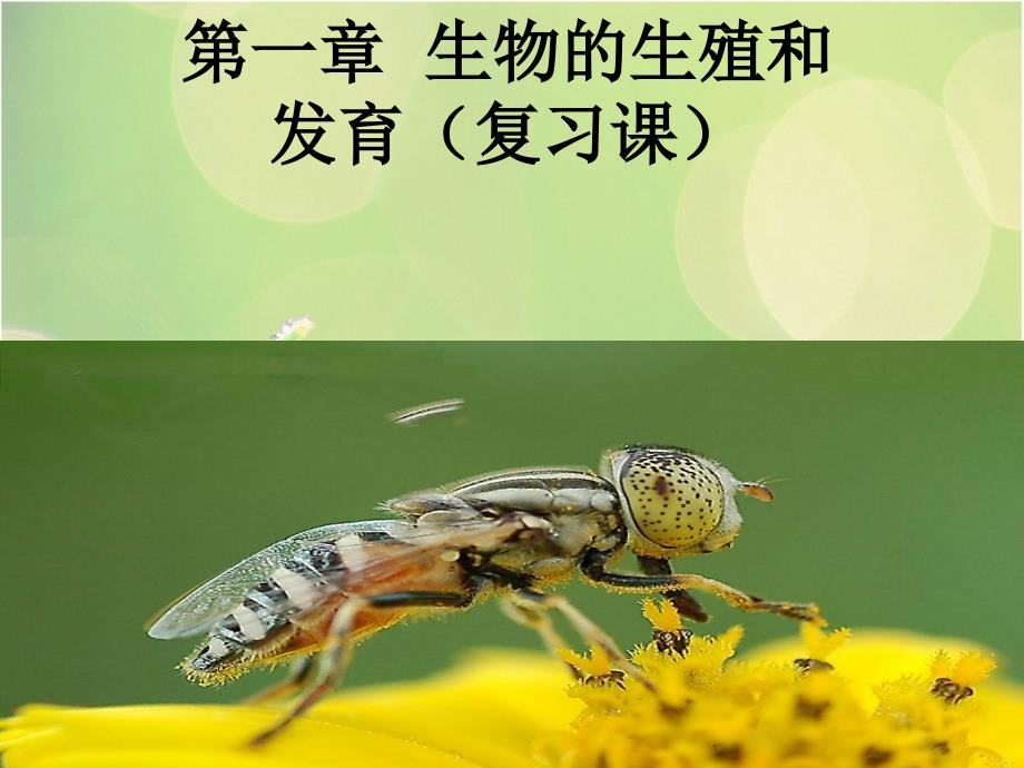 复习人教版八年级下册第一章生物的生殖和发育_第1页