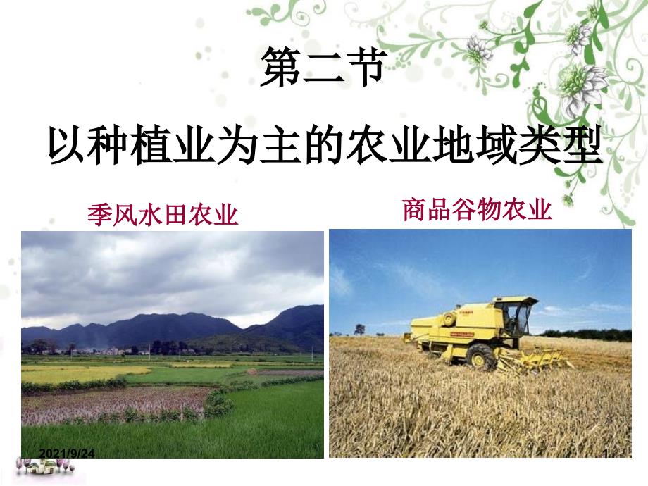 32_以种植业为主的农业地域类型正式_第1页