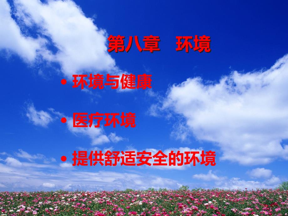 护理学基础环境课件_第1页