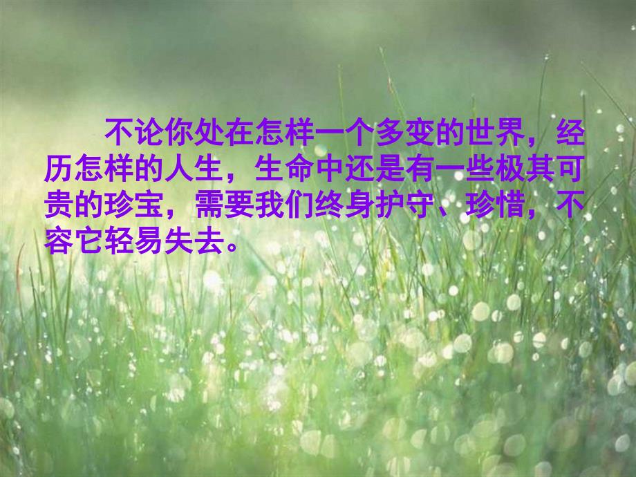 七级语文上《3 生命生命》课件5人教_第1页