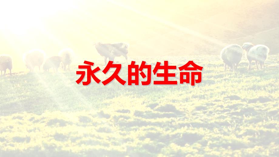 部编版八年级语文上册《永久的生命》PPT教学课件_第1页
