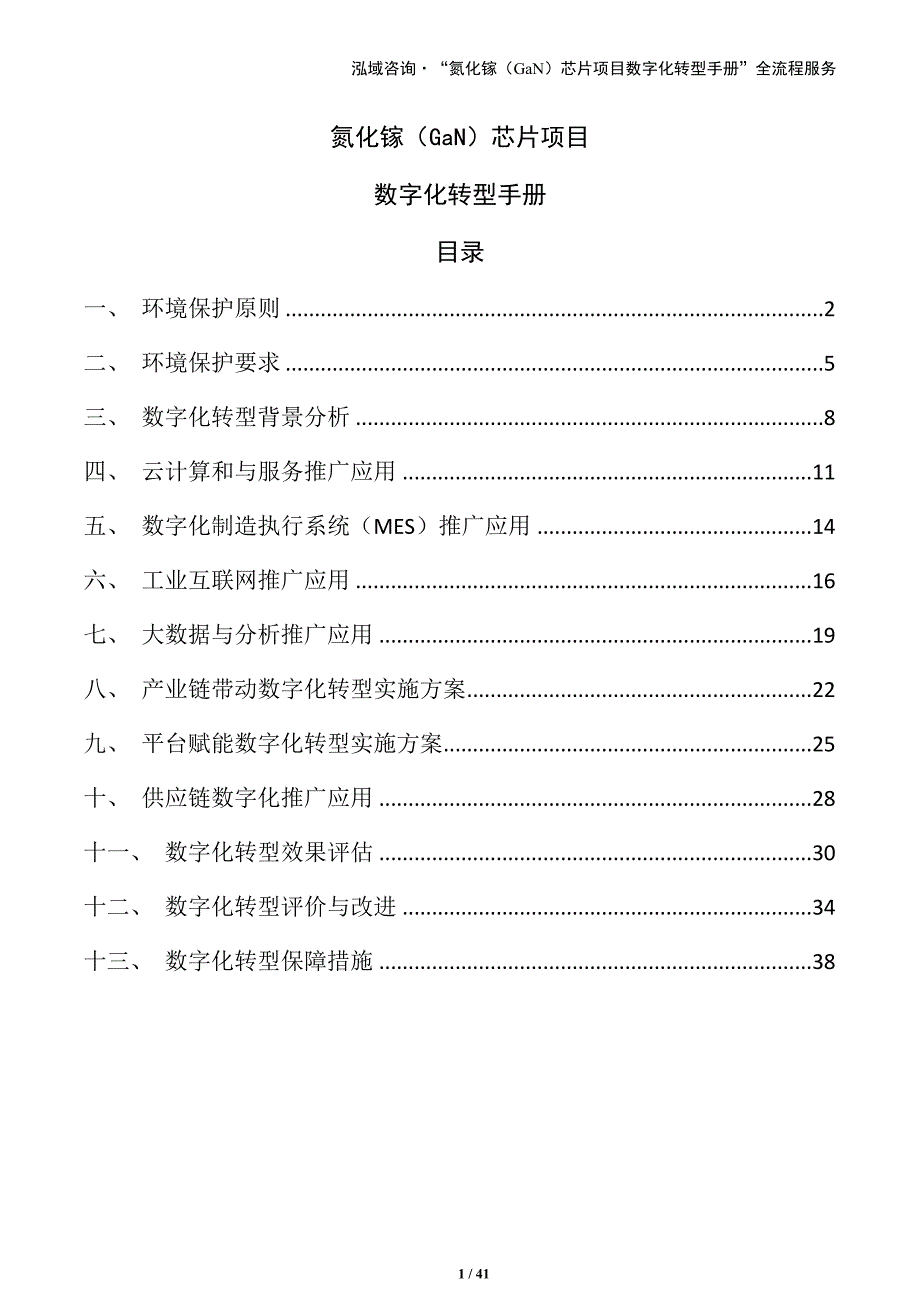 氮化镓（GaN）芯片项目数字化转型手册_第1页