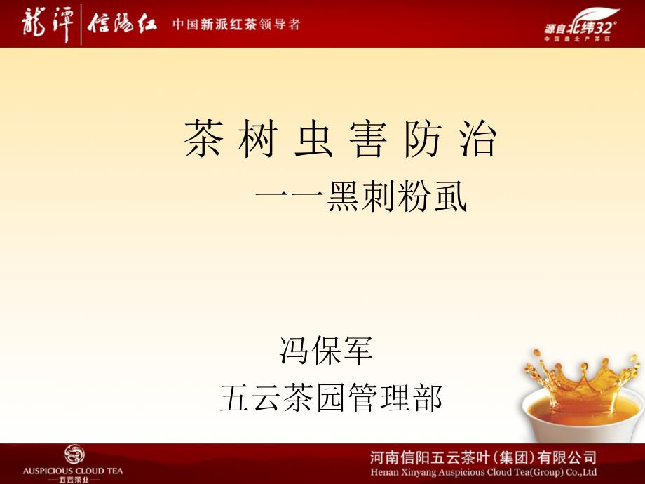 《黑刺粉虱防治》PPT课件_第1页
