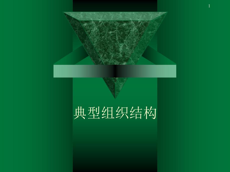 典型组织结构_第1页