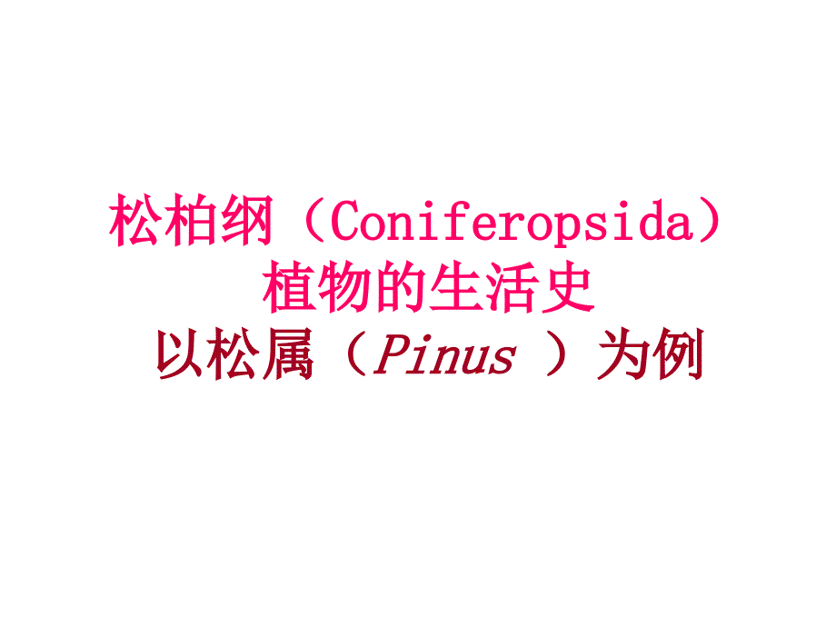 松柏纲植物的生活史_第1页
