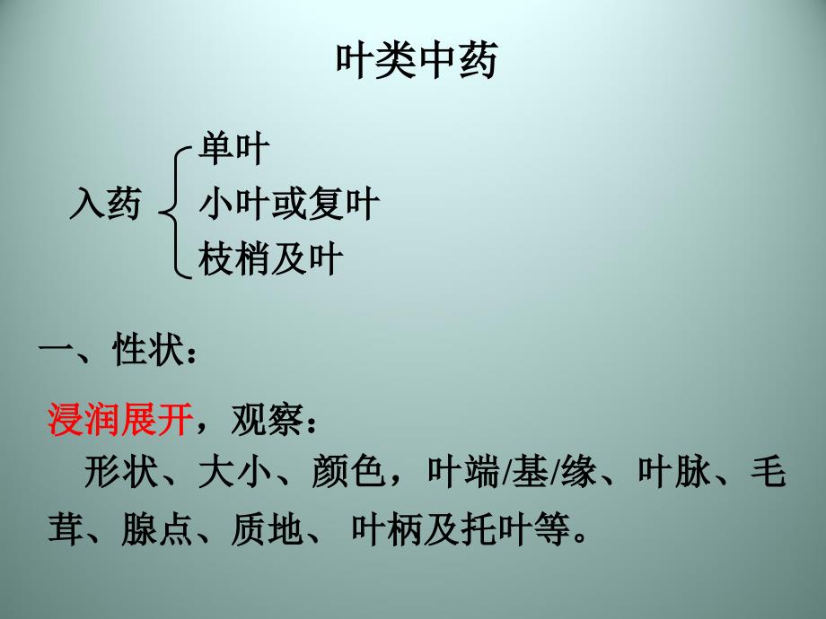 （中药鉴定学）叶类中药_第1页