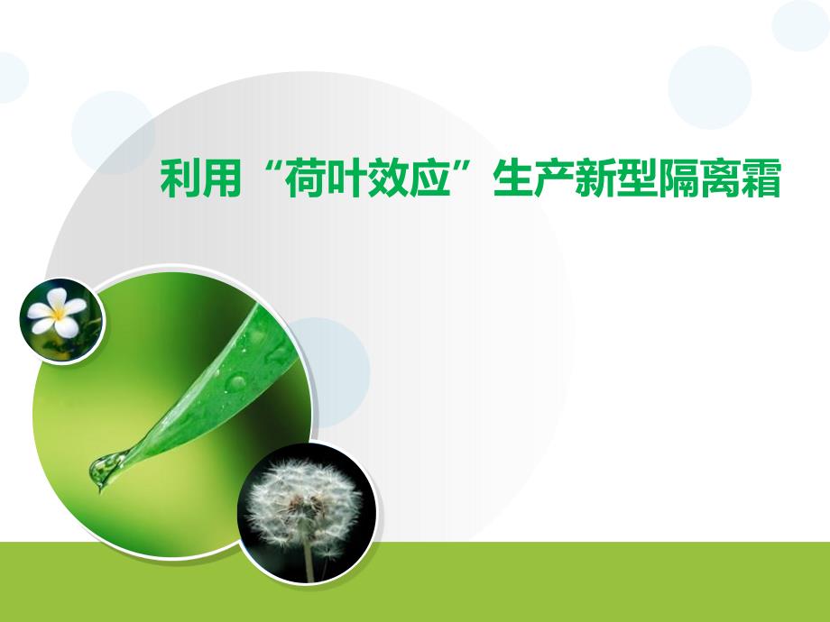 荷叶效应仿生材料.ppt_第1页