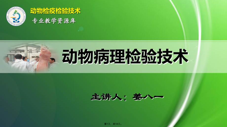 脂肪变性(共14张PPT)_第1页