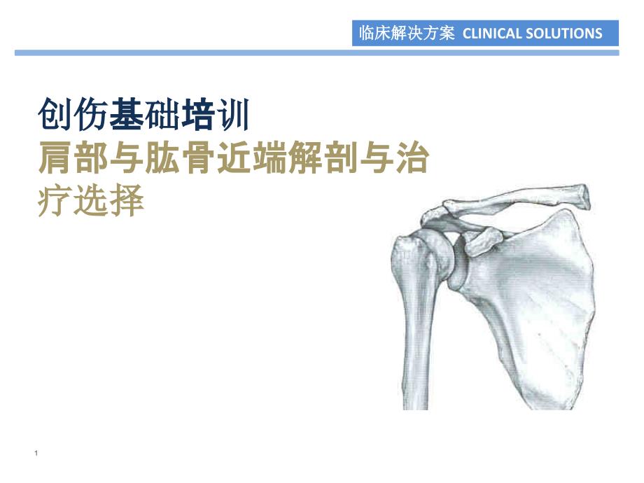 肩部与肱骨近端解剖与治疗选择_第1页