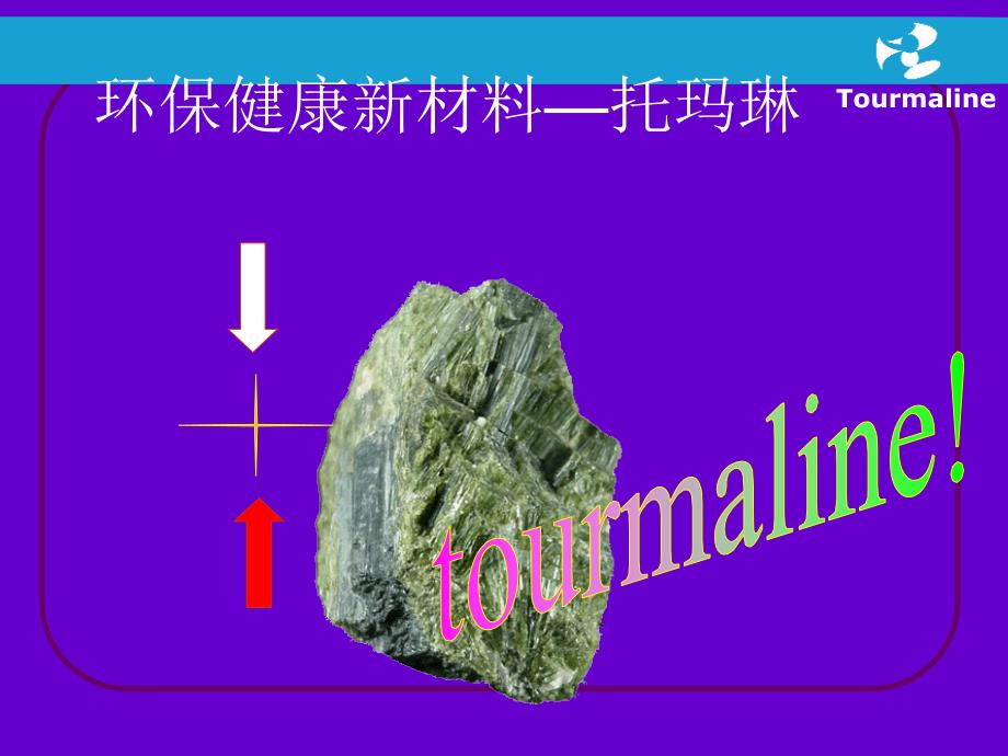 健康的生活来自托玛琳课件_第1页
