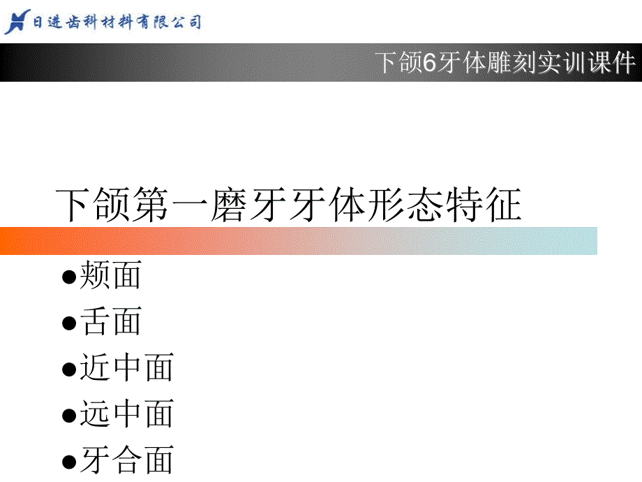 下牙体形态简述_第1页