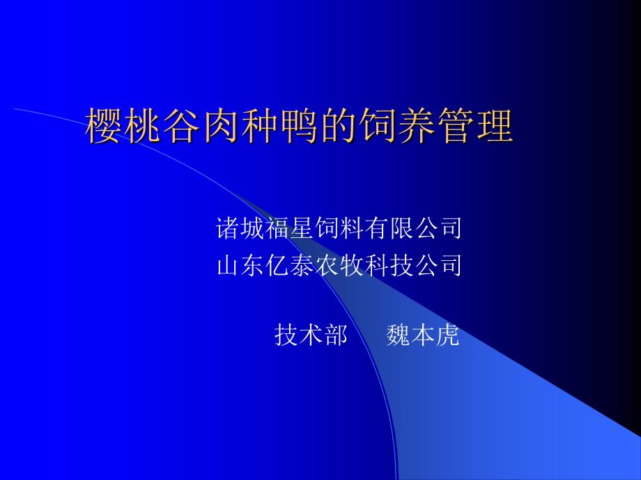 樱桃谷肉种鸭的饲养管理技术_第1页