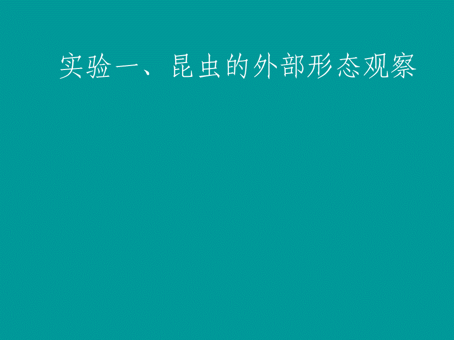 实验昆虫的外部形态特征观察_第1页