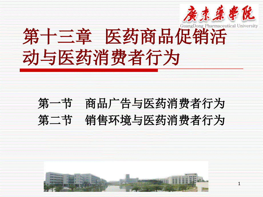 第十三章 医药商品促销活动与医药消费者行为_第1页