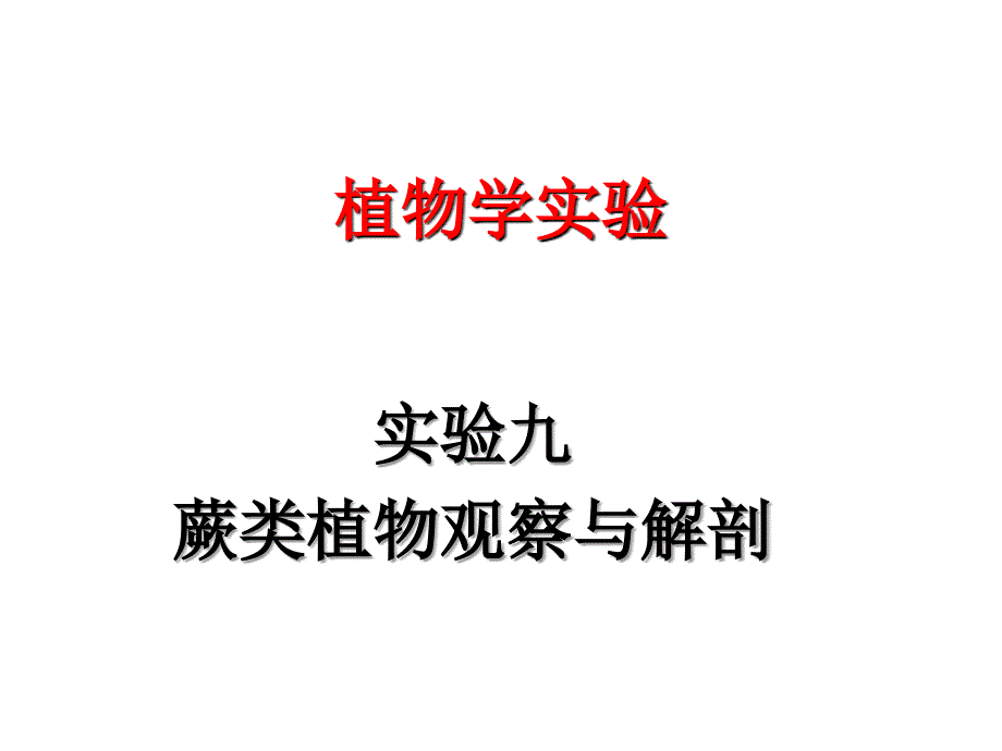 实验九蕨类植物观察及解剖_第1页