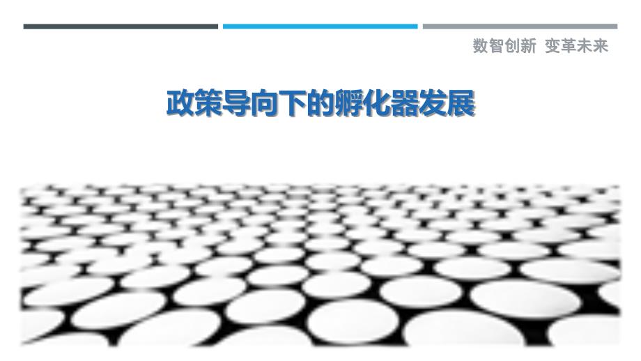 政策导向下的孵化器发展-洞察剖析_第1页