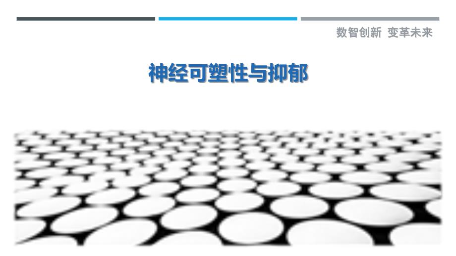 神经可塑性与抑郁-洞察剖析_第1页